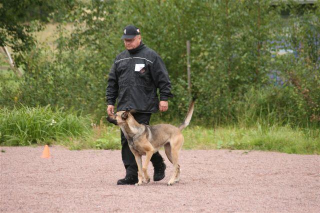 TOKO kerhomestaruus -08 (49).jpg